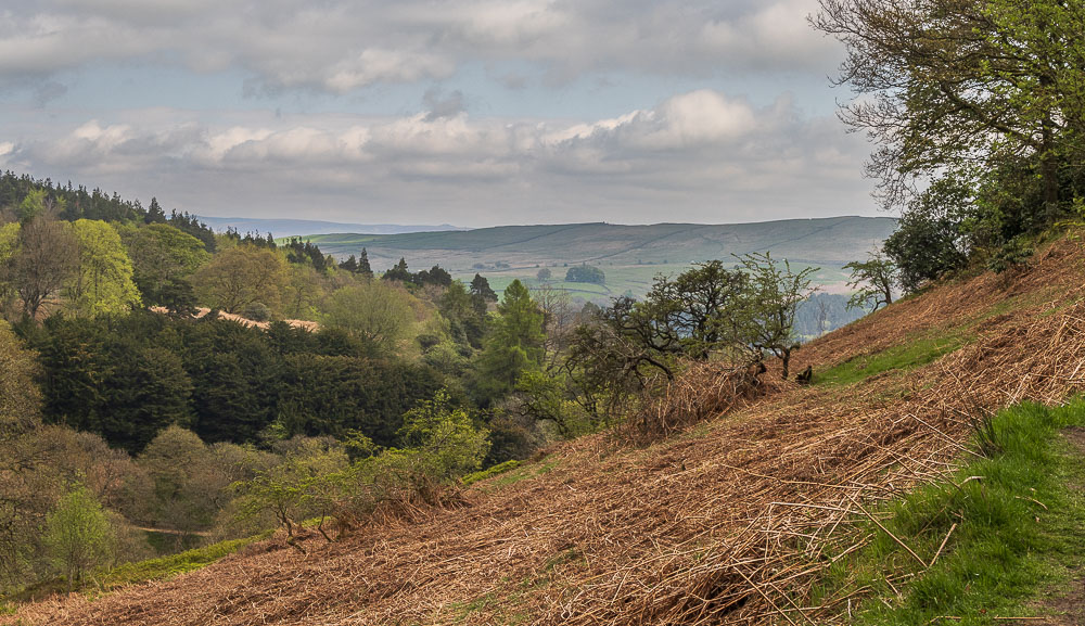 Long Hill Long Hill